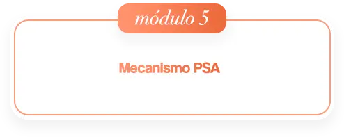 2modulo-05.webp