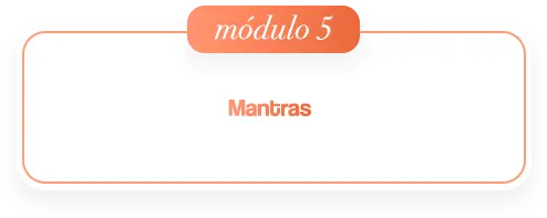 2modulo-06.webp